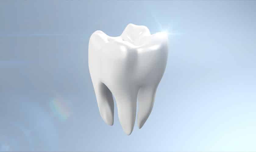 Tooth Enamel