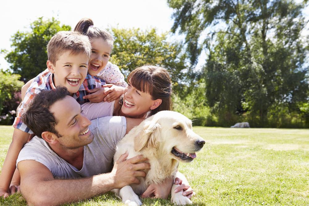 Family with dog playing outdoors in sunny park setting on grass